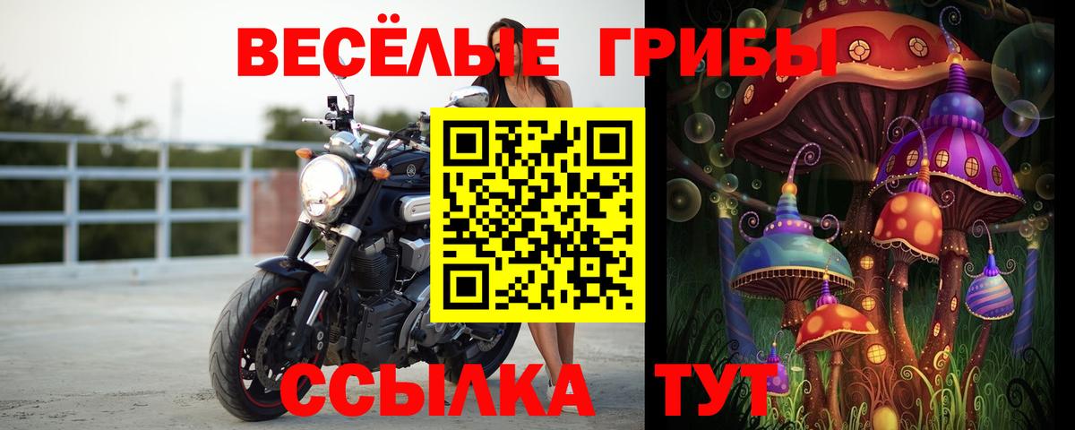 Псилоцибиновые грибы Cubensis  Галлюциногенные грибы GOLDEN TEACHER  Мурманск  Вход с VPN 